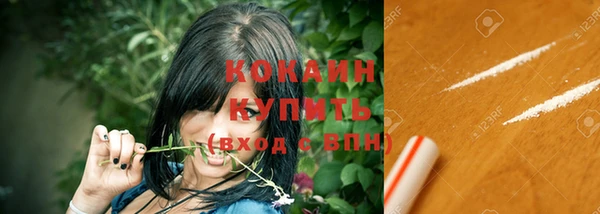 соль ск Абаза