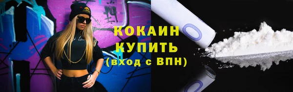 соль ск Абаза