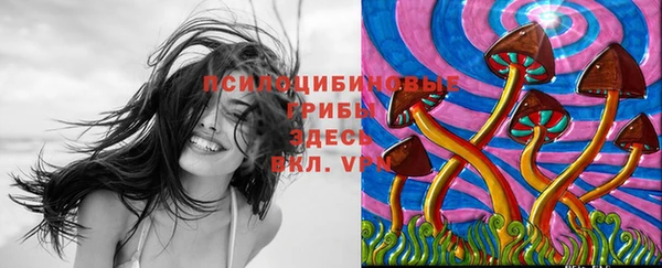 соль ск Абдулино