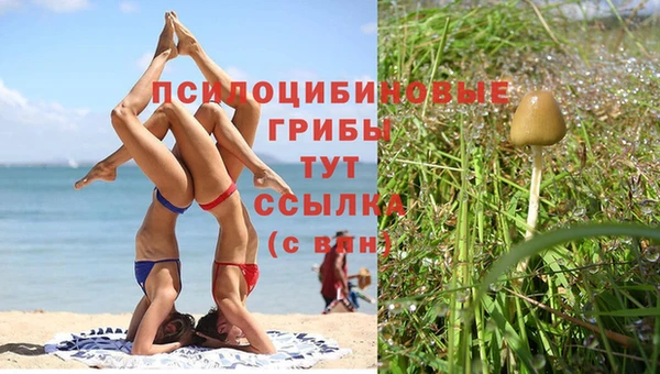 герыч Абинск
